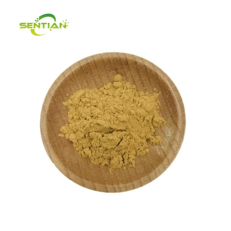 Plant Extract 10:1 Caulis Spatholobi Stem Extract Suberect Spatholobus Extract