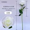 White single-stem medium-sized rose