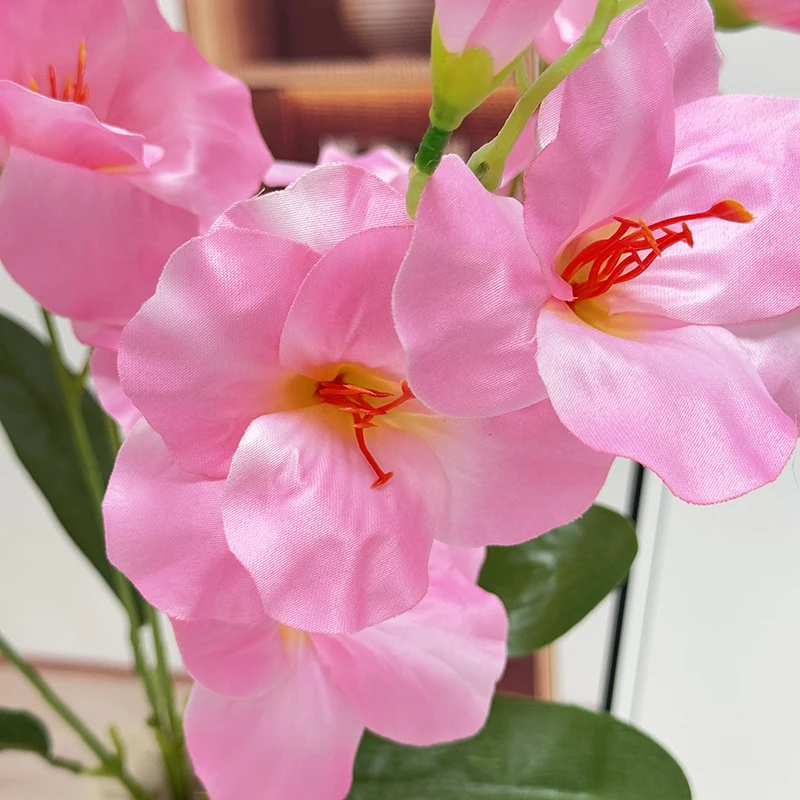 Բերել բնականության ոչ միանգամ հատված ներքևում առանց տոնելիության