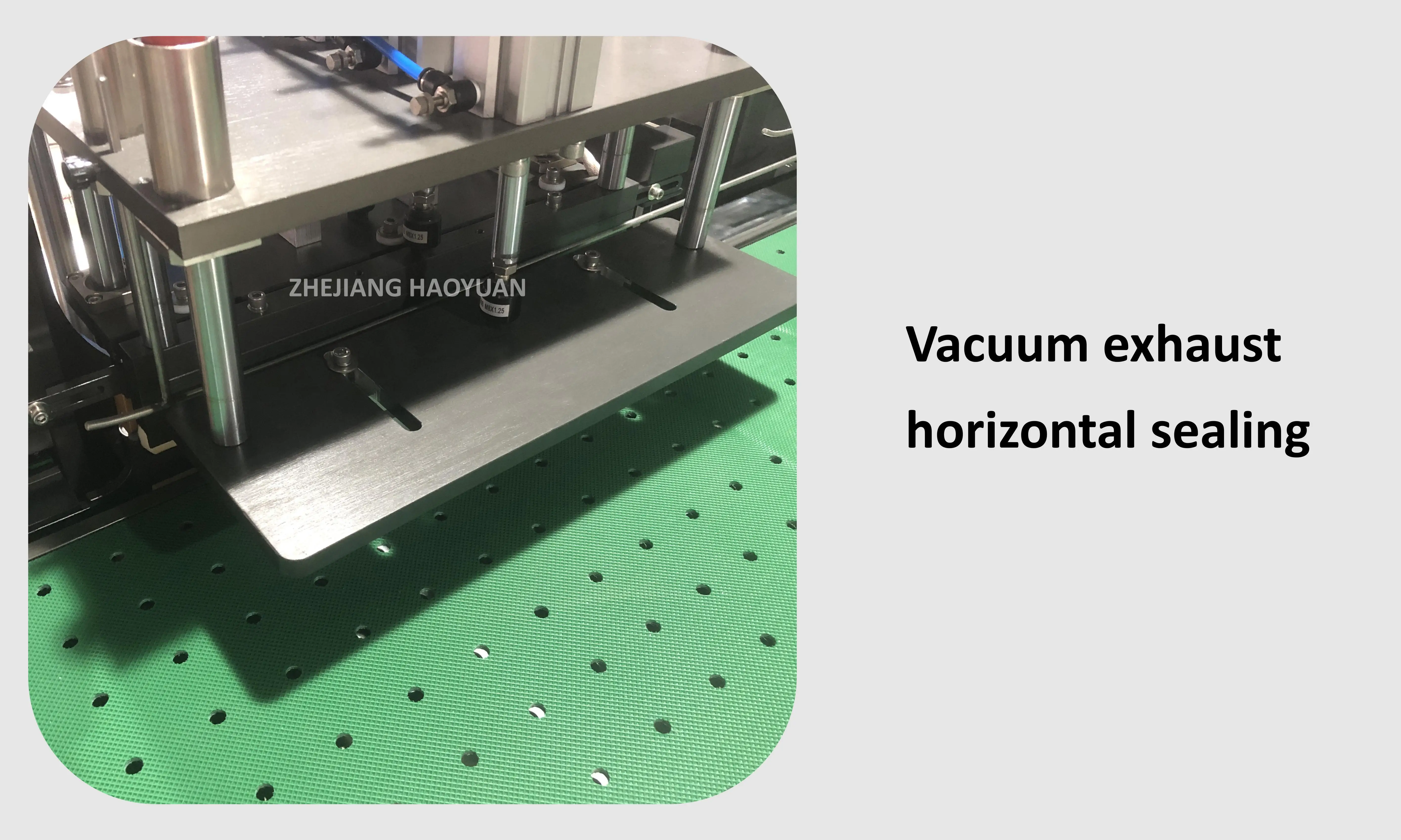 HY-100 Automatic Meat Fresh Fish Vegetable Fruit Radish Carote Vacuum Pre-Made Bag Sotto Vuoto Packing Machine manufacture