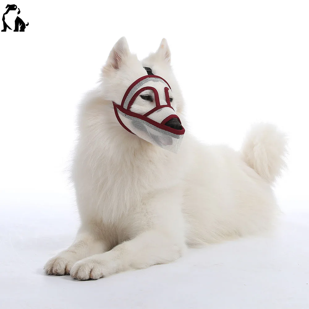 dog muzzle for eating