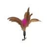 Brown feather