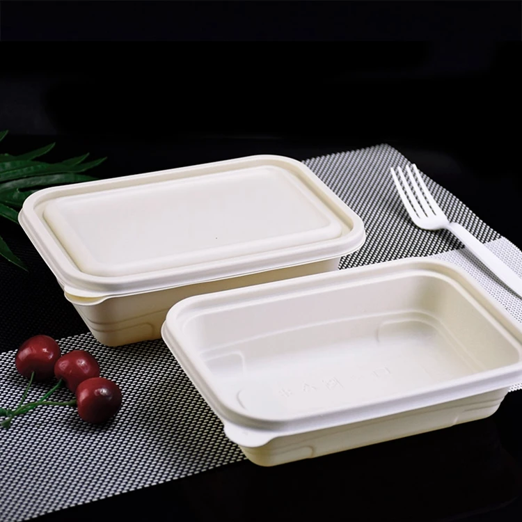 Box Packaging Food For Lunch Kids Leakproof 5 Compartment Boxes