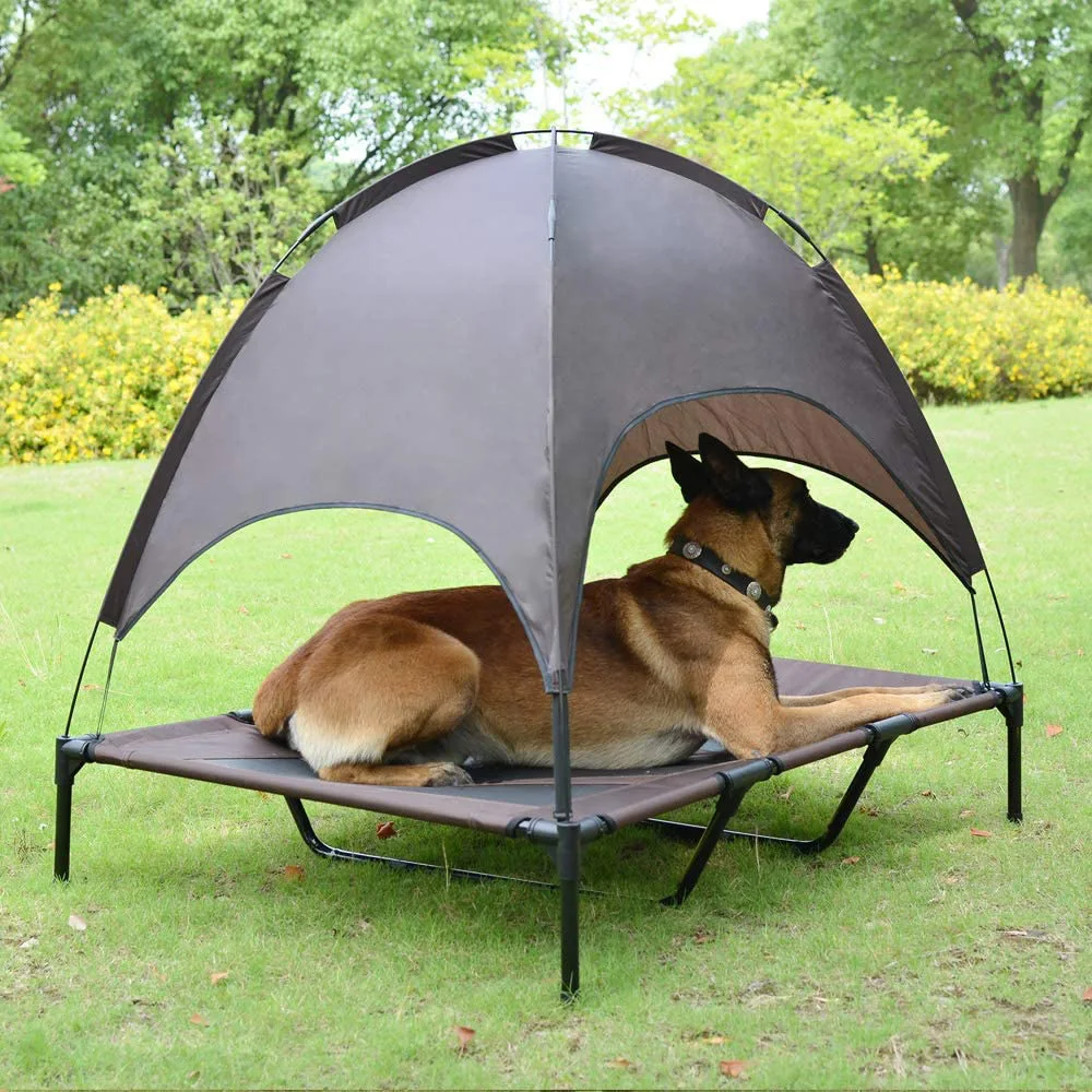 elevated pet bed canada