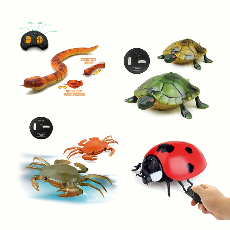 Ept Remote Control Toys Rc Electric Animals Shark Snake Turtle Insect Kid  Toy Boys Girl Insect Remote Control Toys For Kids - Buy Kid Remote Control  Shark Toys Remote Remote Control Snake
