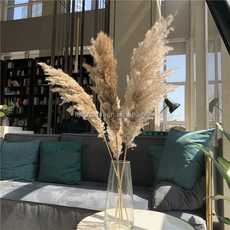 Sz04315 Beige Pampas Grass Arch Arrangement Dried Flowers Tall Fluffy ...