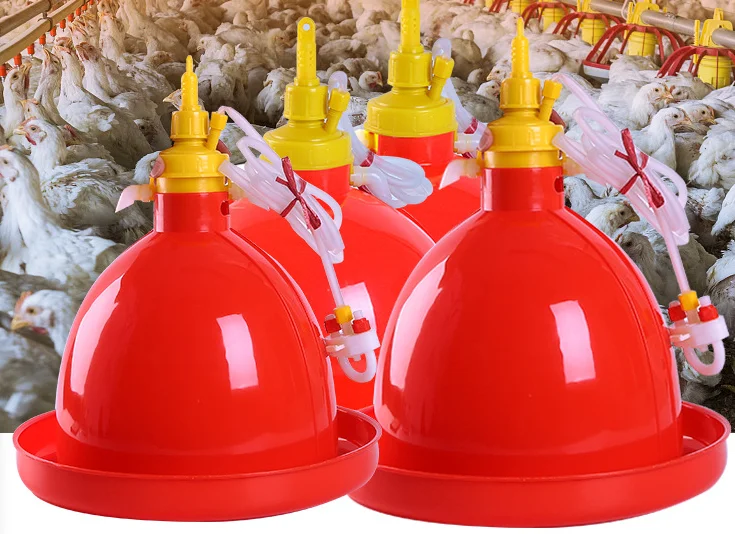 Poultry House Use Plastic Automatic Chicken Bird Water Feeder Drinker Automatic Bell Drinker