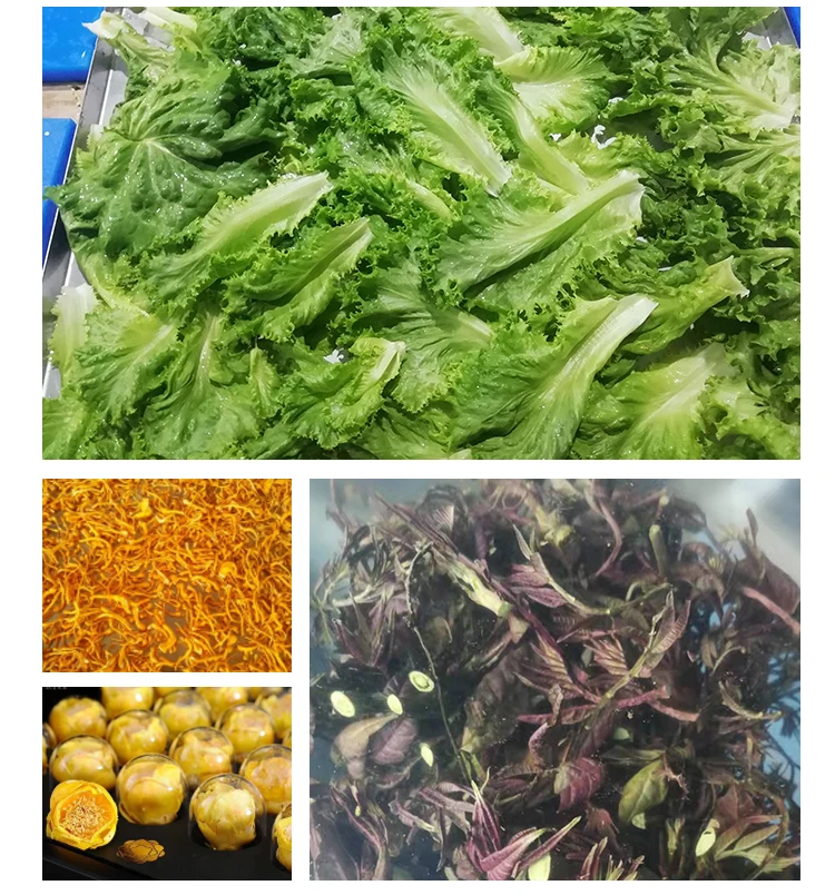 Китайский поставщик, кг, квадратная большая Коммерческая сушилка для замораживания, промышленная сушилка для домашних животных, еда, банан, манго, овощи