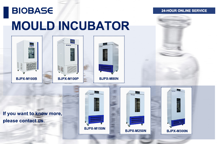 Biobase Biochemical Incubator Bod Incubator For Microbiology 100l