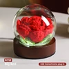 rosa. gran rojo