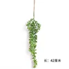 Green string of pearls (small branches)