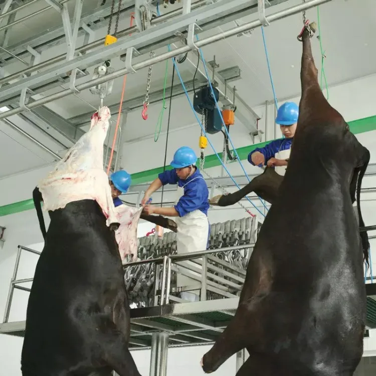 Supply of cattle halal dumping box spin killing box slaughtering equipment