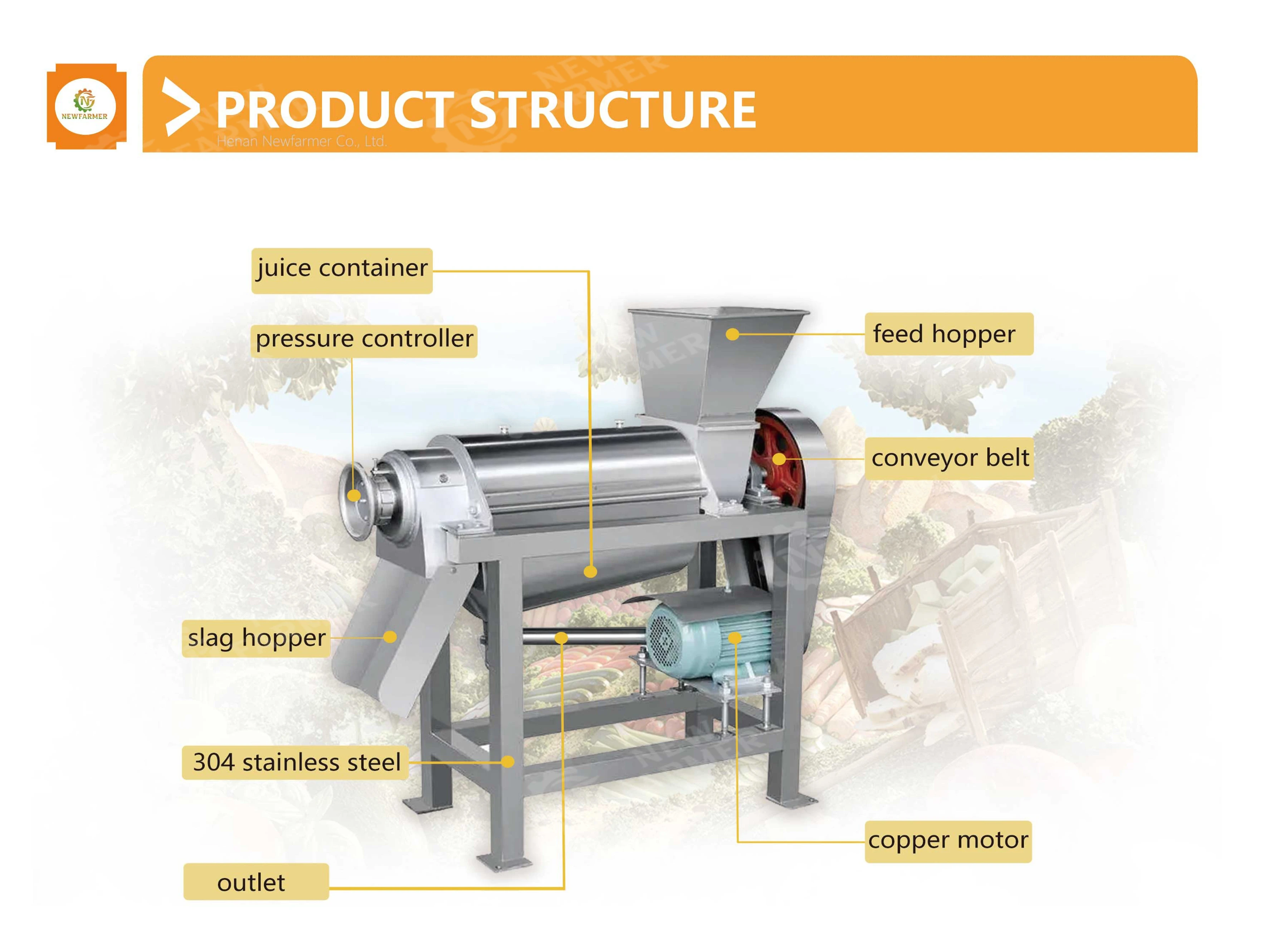 Commercial Passion Juicer Fruit Pulper Small Peach Ginger Extractor Extract Orange Cold Press Juice Machine