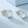 1.0 CTW (0.5 Ct Each)-0298