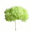 fruta verde