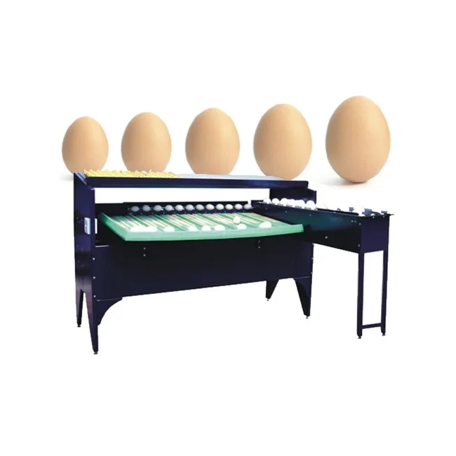 Egg Grading Machine/egg Sorting Machine/egg Grader for Sale Egg Grading Packing Machine