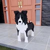 collie fronterizo