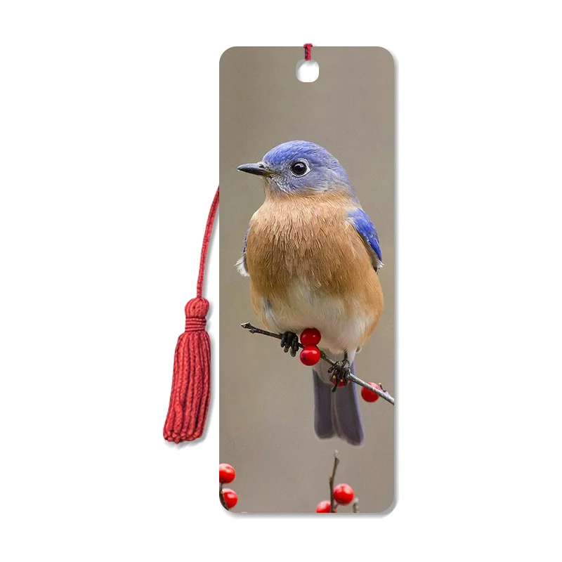 3D Lenticular Printing Bookmarks With Tassel