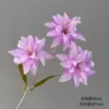 3-headed lily