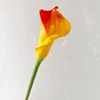 SKU7