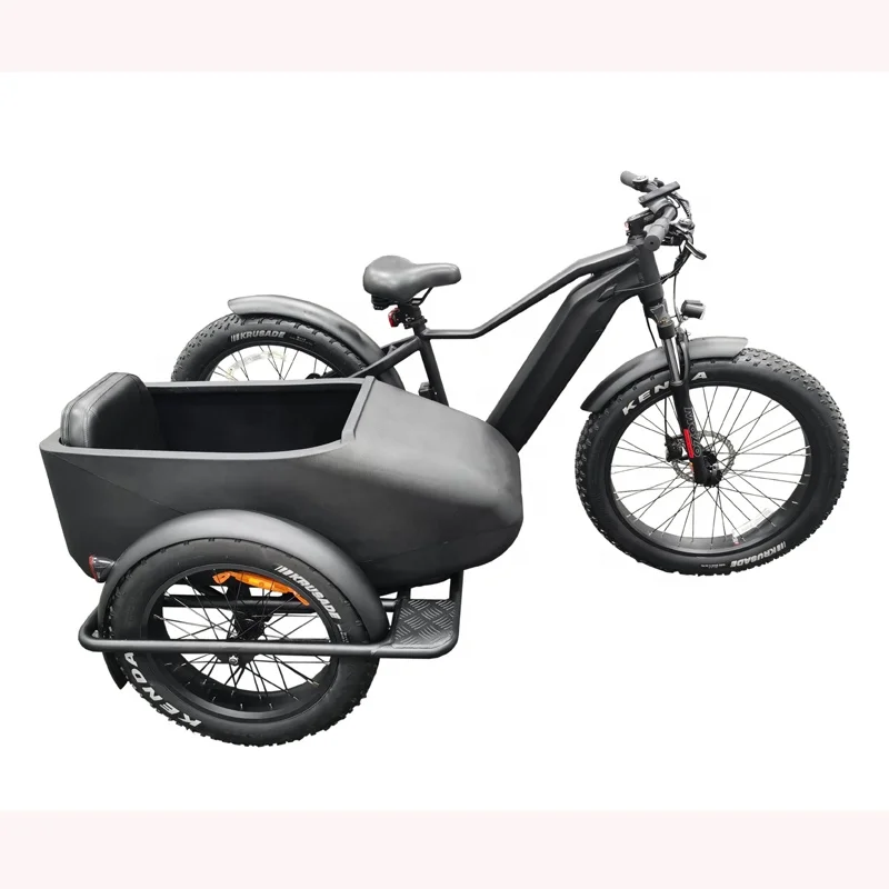 48V 250W 500W Electric Bicycle with Side Car Beach Cruiser