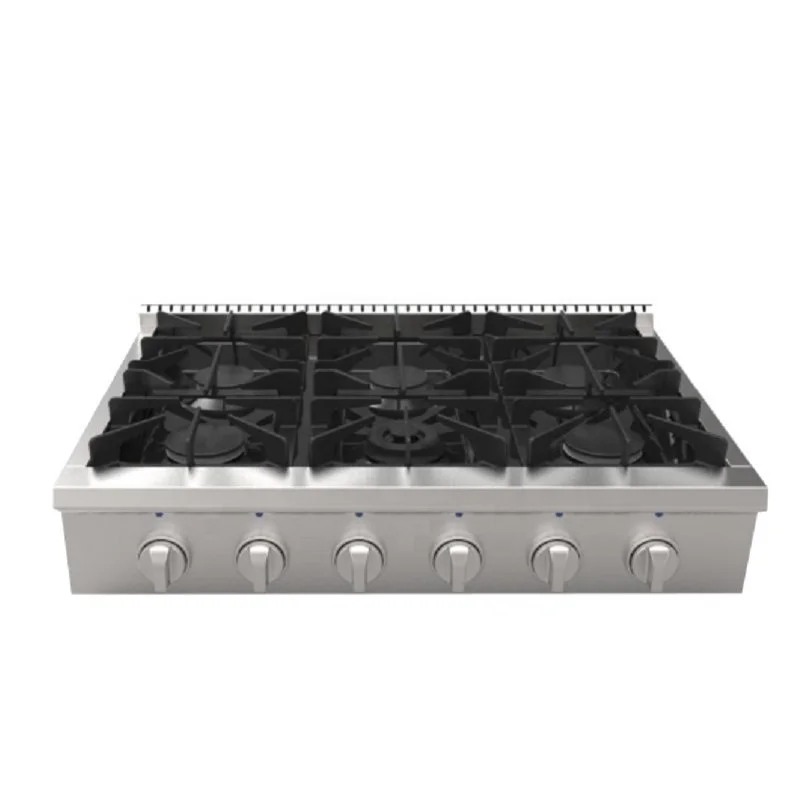 professional 6 burner gas range