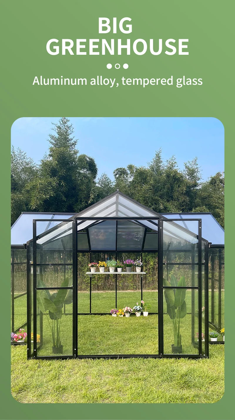New Design Modern Big Greenhouses Glass Garden Greenhouses Cover Frost