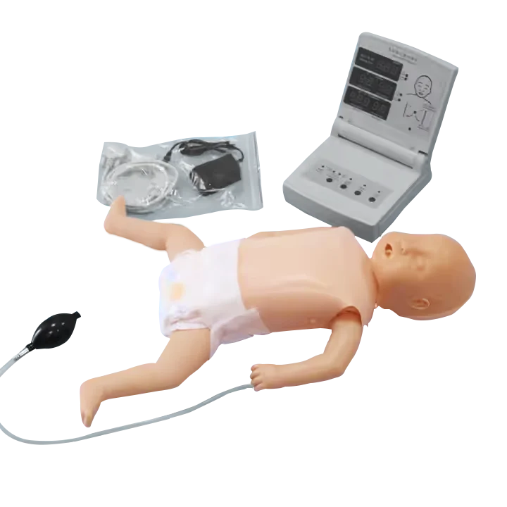 Alibaba.com: ADA-CPR160A Advanced Anatomical PVC Manikin, Neonatal CPR ...