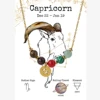 NE240213-10 Capricorn