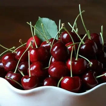 fresh cherry & red sweet cherry with certificate in turkey - buy