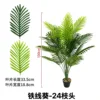 24 tallos de Clematis palm
