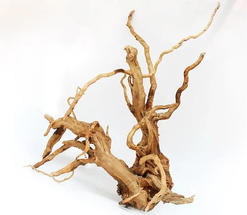 Chinese Azalea Root Spider Wood Driftwood - Arizona Aquatic Gardens