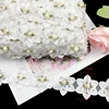 Fleur blanche