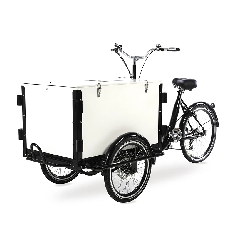 Wheel Cargo Bike Front Load Bike with Cover Electric Tricycles