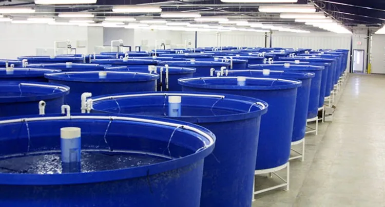 卸売 モダン ブルー 回転成形 大型 プラスチック池 水槽 魚タンク 価格