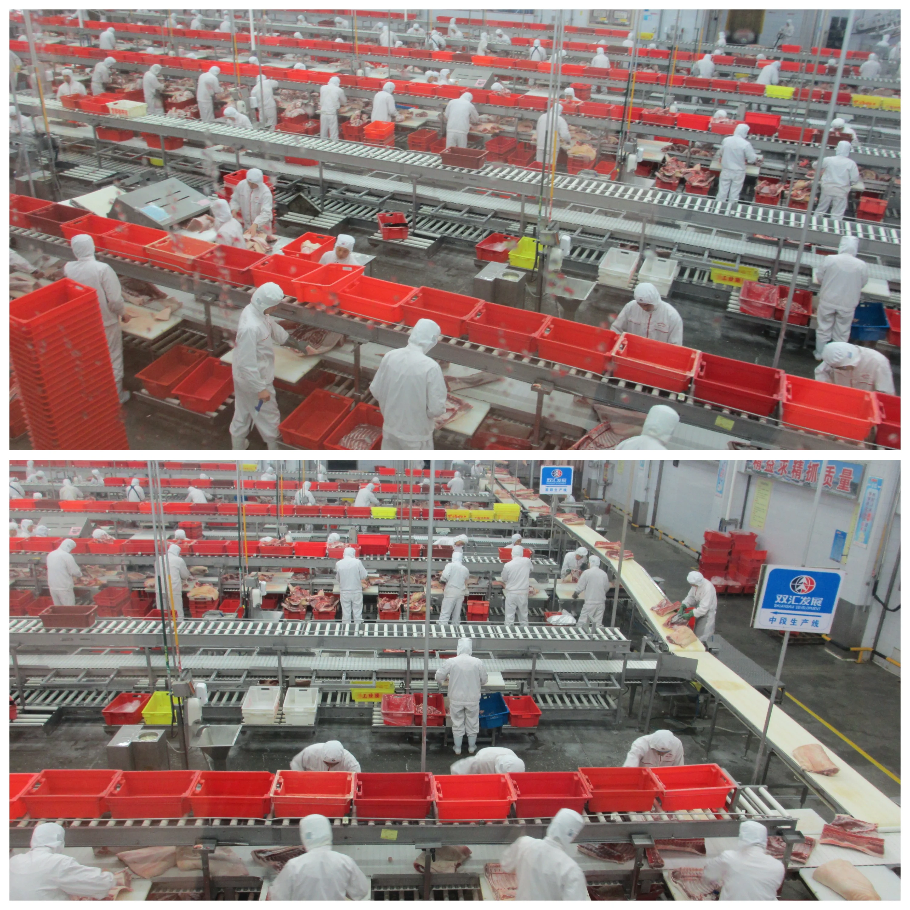 Meat slaughterhouse equipment PVC conveyor belts for cutting and packaging lines
