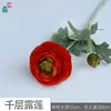 Thousand Layer Dew Lotus MHHC 8 Orange