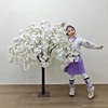 Albero di ciliegio bianco 5 1.2m