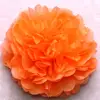 Orange MF2201