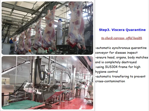 Ritual cattle slaughterhouse and cattle slaughterhouse meat traceability system equipment