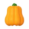 Squeaky calabaza mascota juguete de la