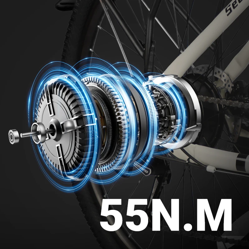 Easy Driver Long Range Electric Deliver Bike Scooter Motor Cycle 26 Inch Food Delivery Bike Electric