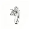 ET00308-Silver pair