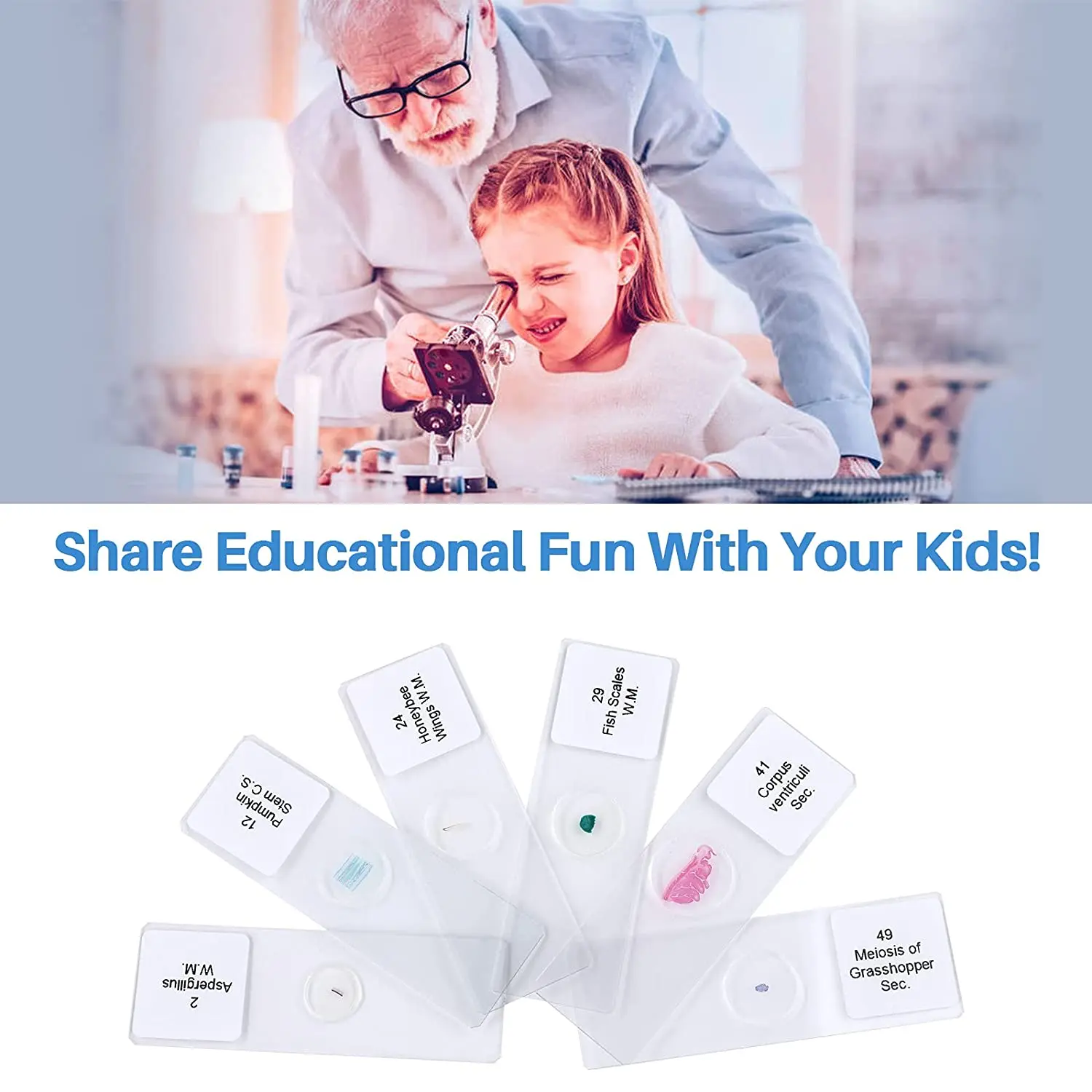 50pcs Insect Animal And Plant Specimens Prepared Microscope Slides ...