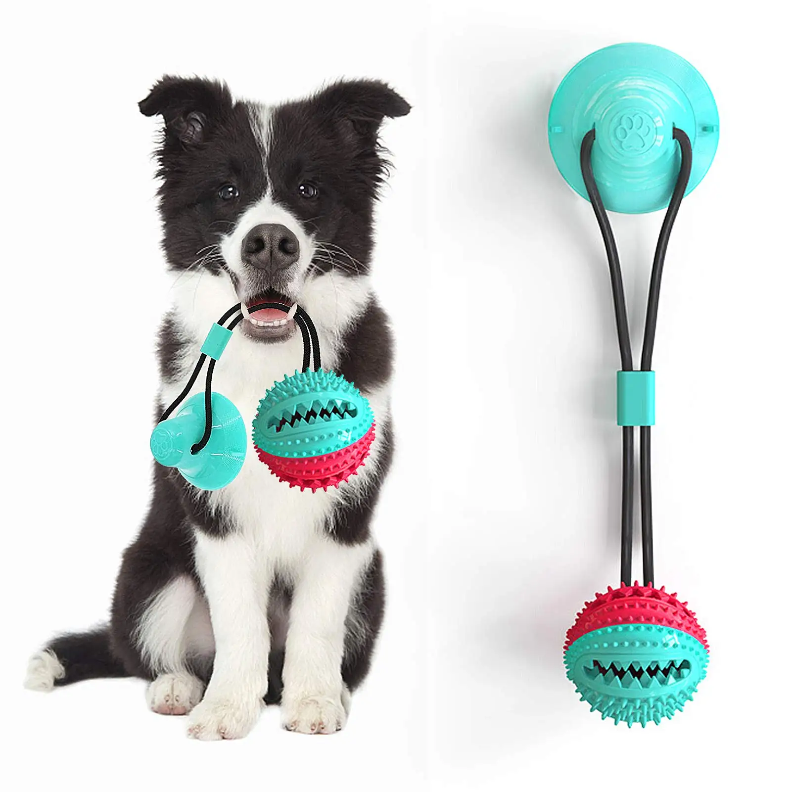 Suction cup orders tug toy for dogs