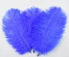 Bleu royal