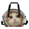 gato jengibre