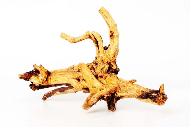 水槽用流木 天然木 トランク アクアリウム流木 水槽植物 アクアリウム