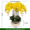 Orchidea Gialla 10 Steli