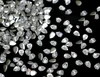White pear--3*4mm